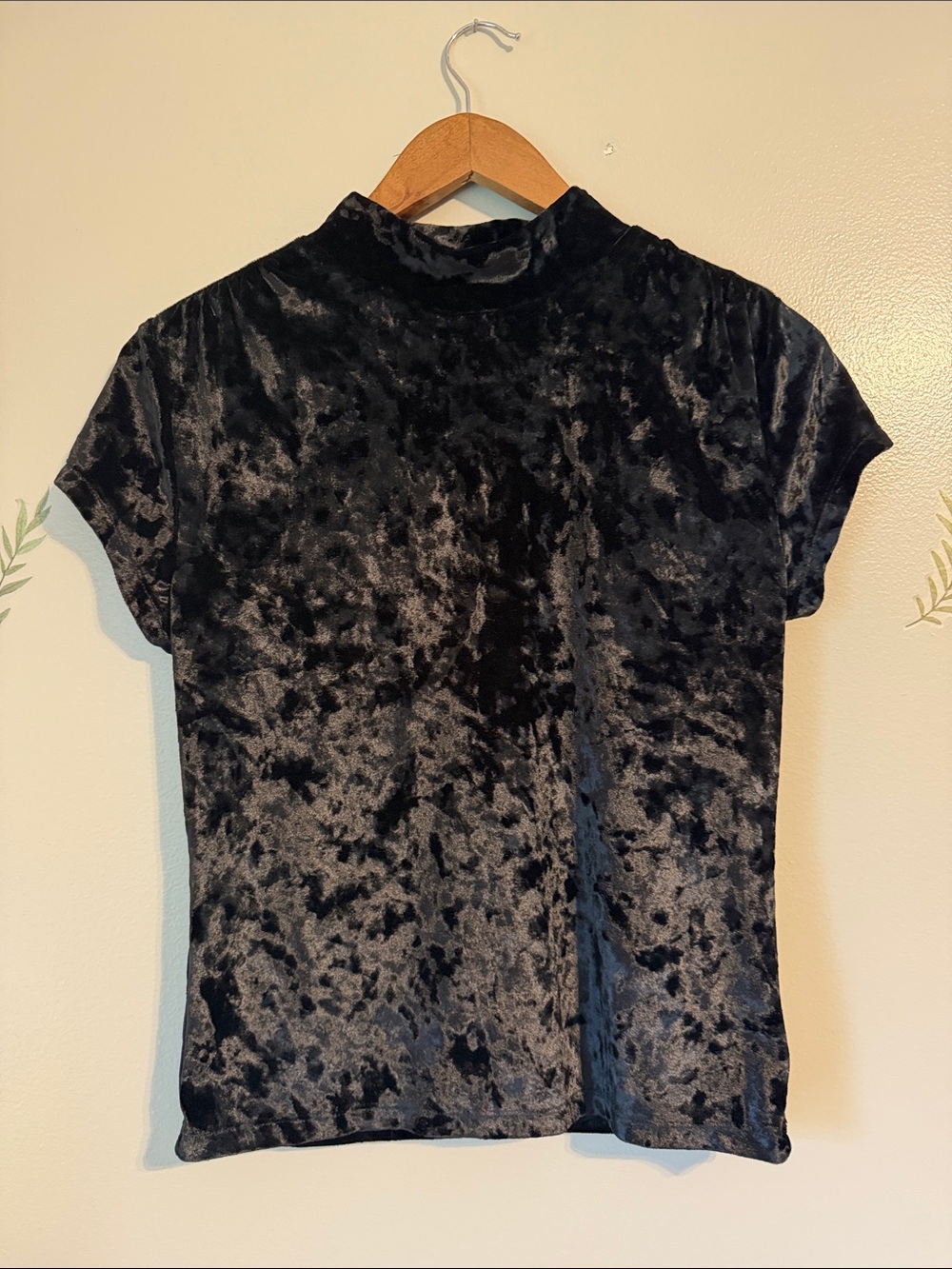 A New Day Medium Velvet Mock Neck Short Sleeve Top - Black